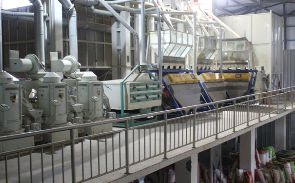 碾米成套設備 碾米成套設備