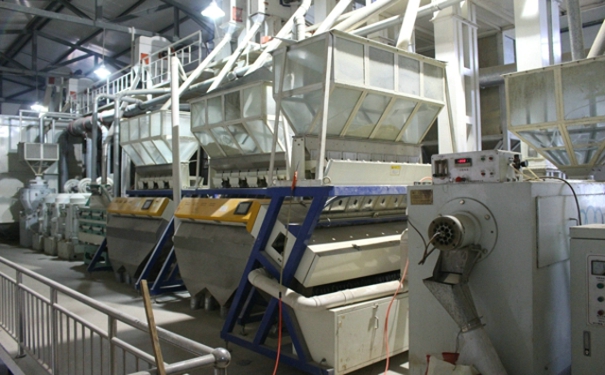 大米成套設備 大米成套設備