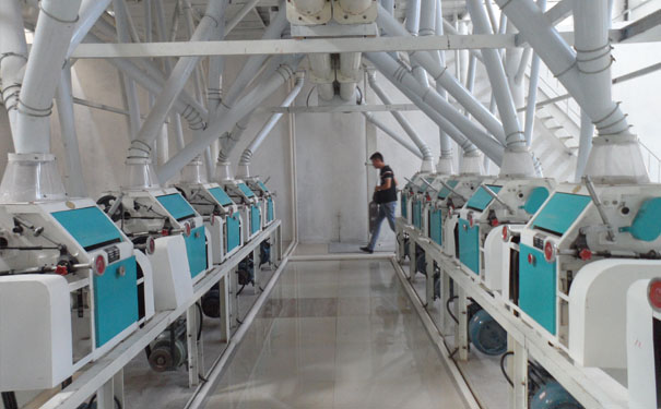 大米加工設(shè)備 大米加工設(shè)備